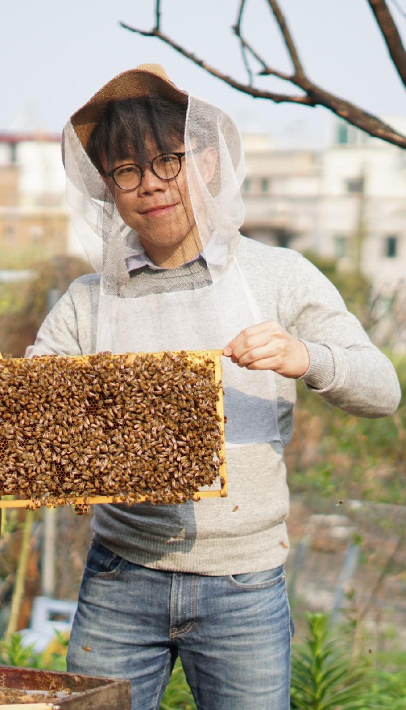 專訪 80後補習老師轉行做蜂農推城巿養蜂生產本土蜜糖 Oh 爸媽 Ohpama Com一站式升學 親子網站