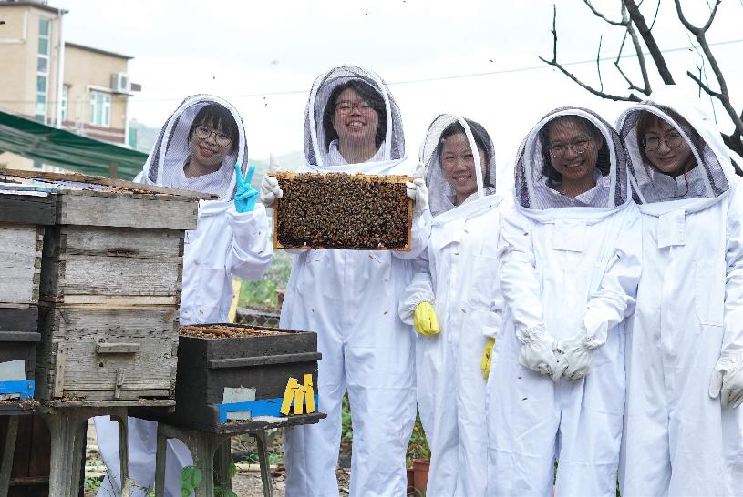 專訪 80後補習老師轉行做蜂農推城巿養蜂生產本土蜜糖 Oh 爸媽 Ohpama Com一站式升學 親子網站
